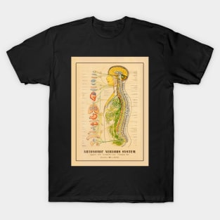 Nervous System, Medical Chart, Skeleton Print, Doctor Chart T-Shirt